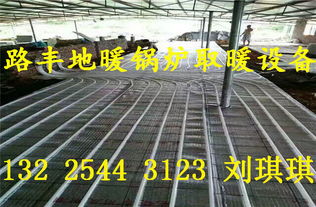 路豐豬舍取暖設(shè)備 專為豬舍采暖設(shè)計(jì)的高效地暖鍋爐，現(xiàn)貨批發(fā)選購(gòu)指南